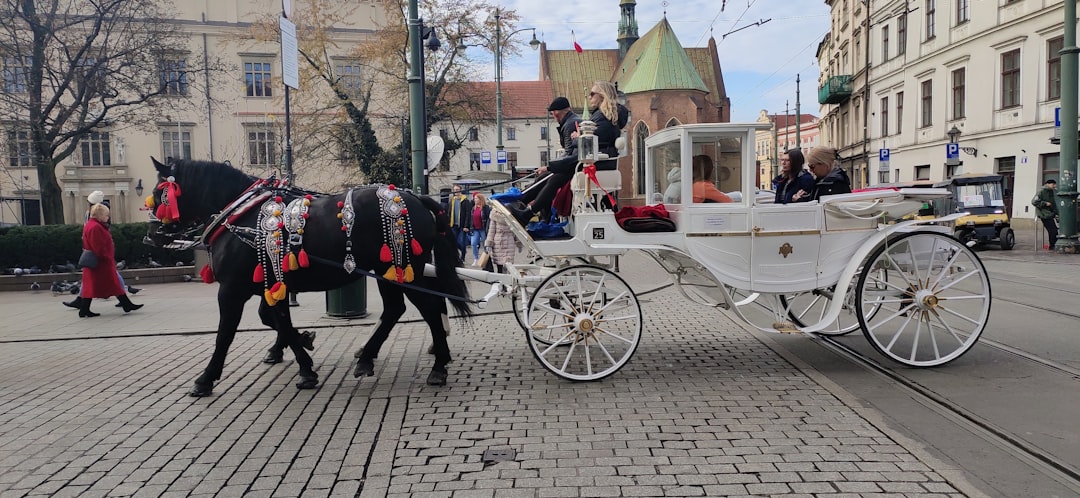 Polskie tradycje astronomiczne: Gwiazdy w kulturze i obyczajach 1 Photo Polish astronomical traditions
